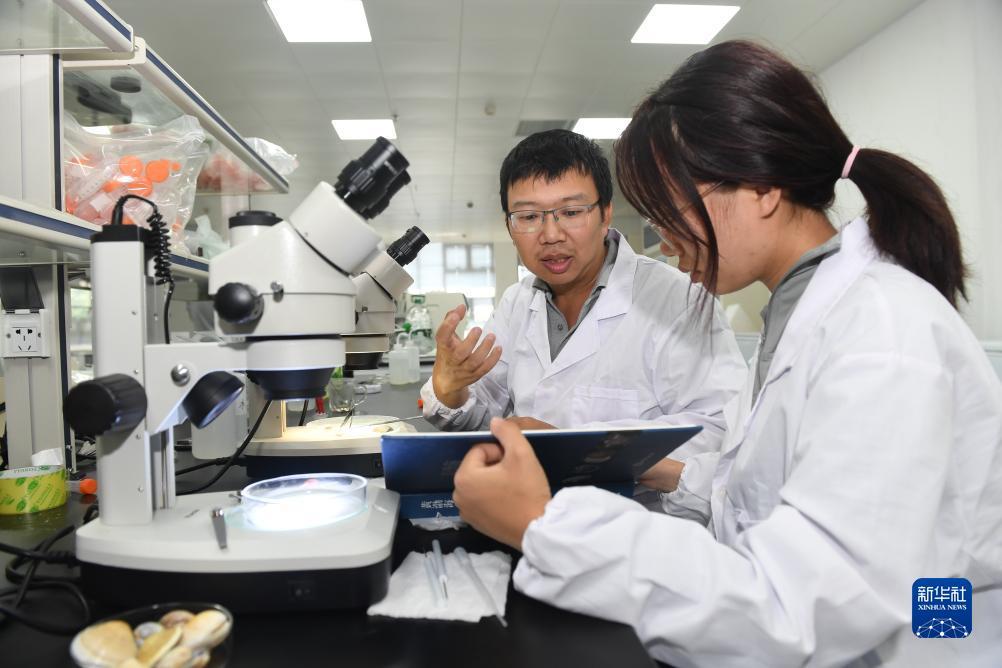奔驰软件登录访问网络不对